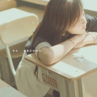 今年十二生肖排位图